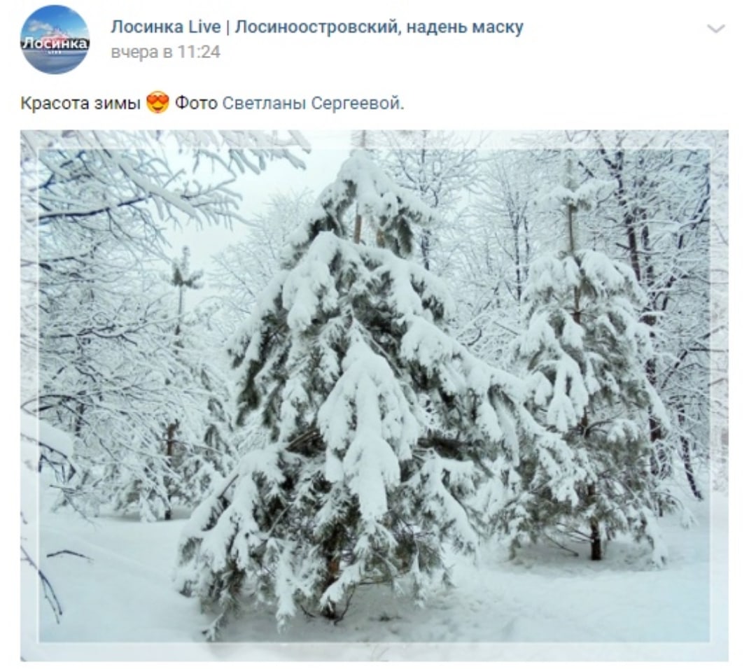 Фото дня: зимняя сказка в Лосиноостровском