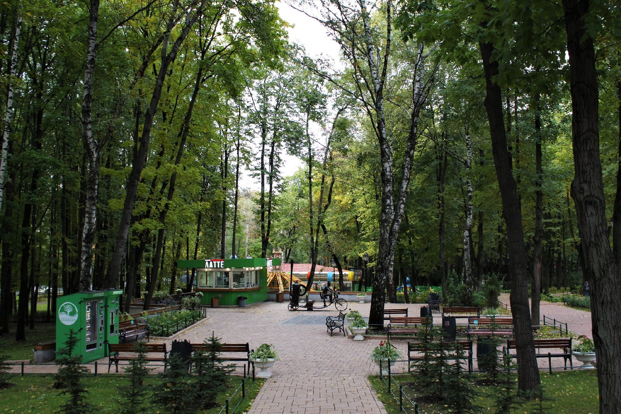 В Бабушкинском парке открыли запись на бесплатные занятия по самбо