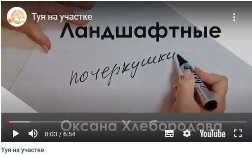 В Бабушкинском парке записали видеоурок о правильной высадке туй
