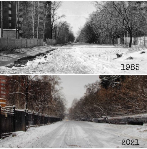 Жители Лосинки нашли не изменившуюся за 36 лет улицу района